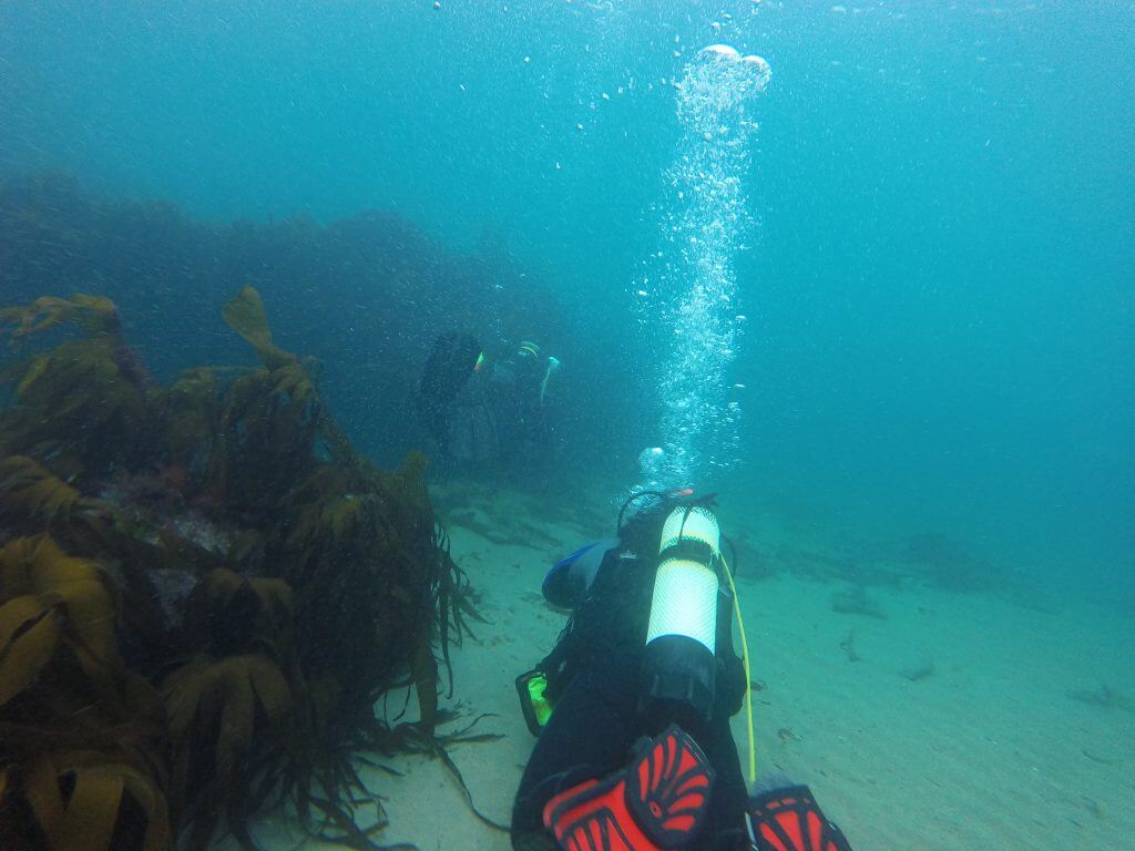PADI SCUBA Diving Training, PADI Youth Training Centre & Club Cornwall