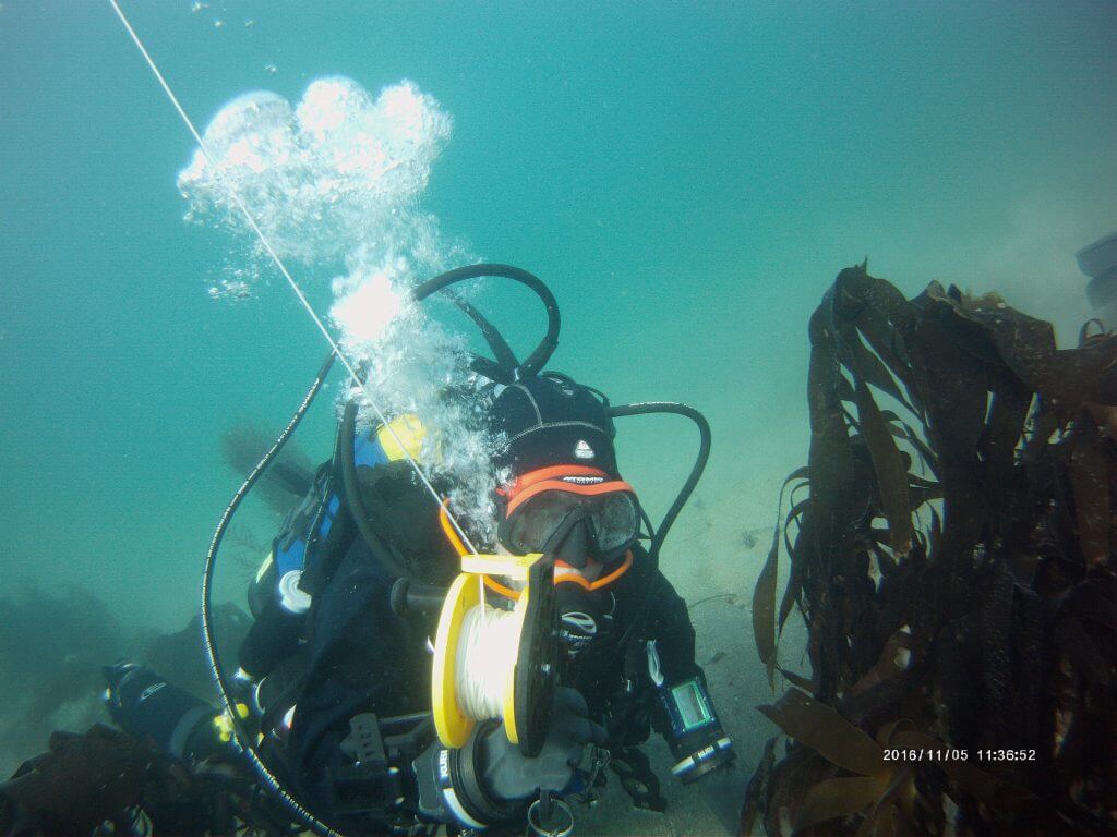 PADI SCUBA Diving Training, PADI Youth Training Centre & Club Cornwall